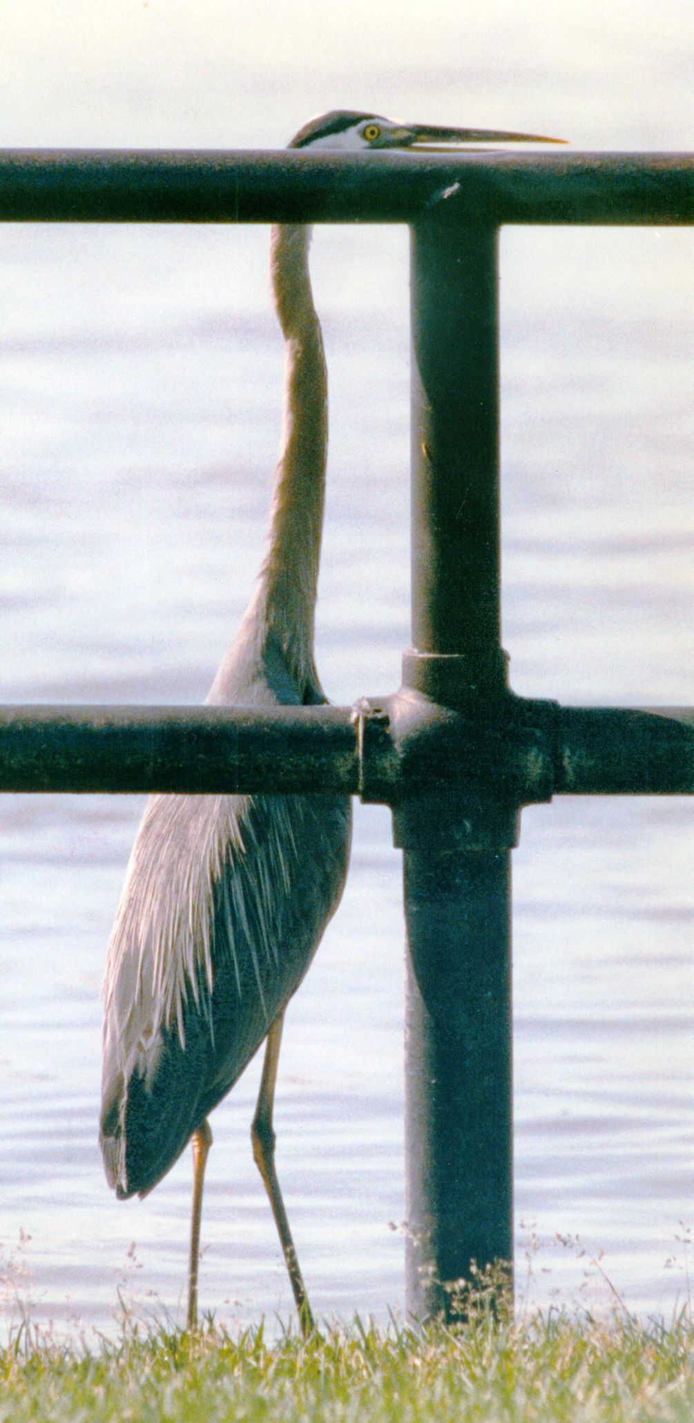 19930622 -- Davenport, Iowa